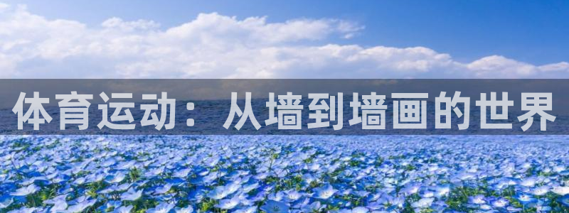 oety欧亿体育官网下载开户：体育运动：从墙到墙画的