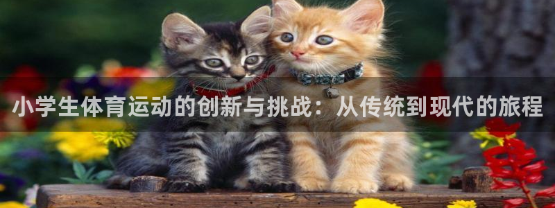 oety欧亿体育官网下载招商电话：小学生体育运动的创