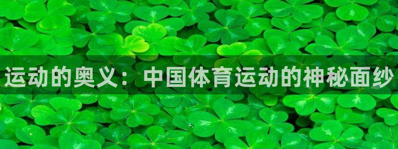 欧亿体育官方正版app代理：运动的奥义：中国体育运动