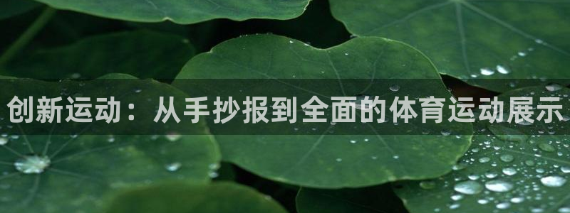 欧亿体育官方正版app集团简介：创新运动：从手抄报到