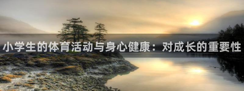 欧亿体育官方正版app官方：小学生的体育活动与身心健康：对成