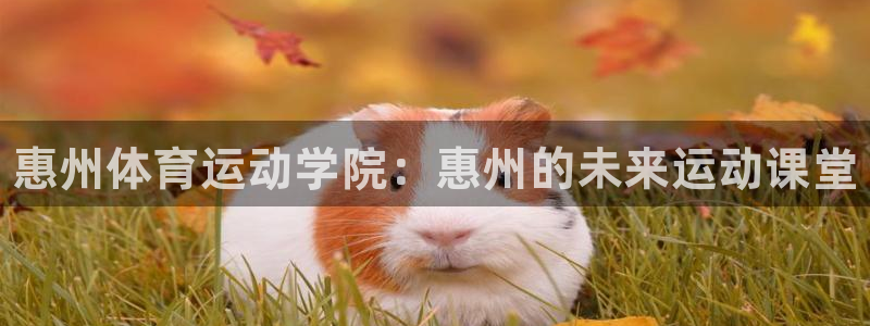 海南oety欧亿体育官网下载发展怎么样：惠州体育运动