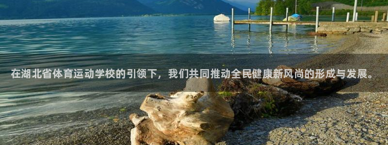 注册欧亿体育官方正版app：在湖北省体育运动学校的引领下，我