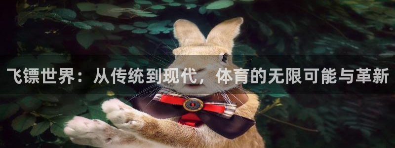 oety欧亿体育官网下载招商电话号码是多少：飞镖世界：从传统