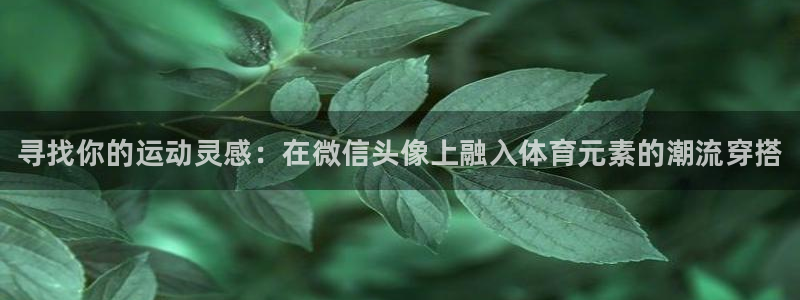 欧亿体育官方正版app集团官网网址：寻找你的运动灵感：在微信