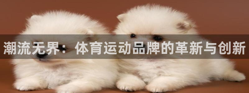 欧亿体育官方正版app娱乐代理怎么样