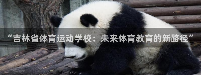 欧亿体育官方正版app娱乐平台