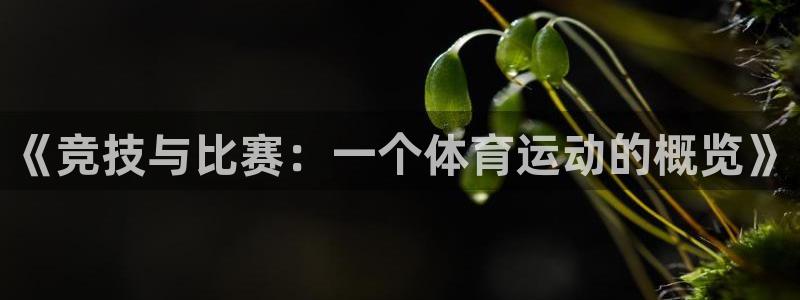 oety欧亿体育官网下载招商电话地址查询