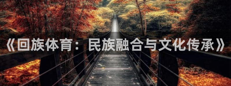 oety欧亿体育官网下载平台：《回族体育：民族融合与文化传承