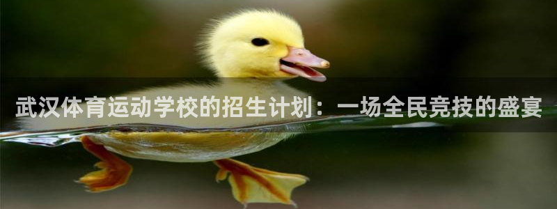 欧亿体育官方正版app娱乐是那个系列的台子：武汉体育运动学校