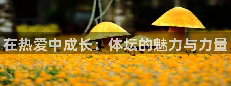欧亿体育官方正版app娱乐下载：在热爱中成长：体坛的魅力与力