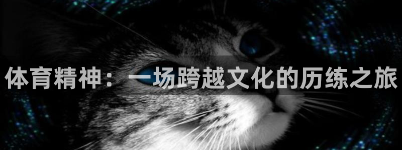 欧亿体育官方正版app集团E.ON：体育精神：一场跨越文化的