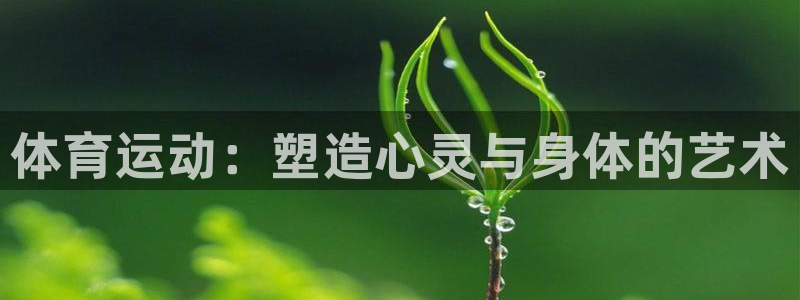 oety欧亿体育官网下载是干嘛的公司：体育运动：塑造心灵与身